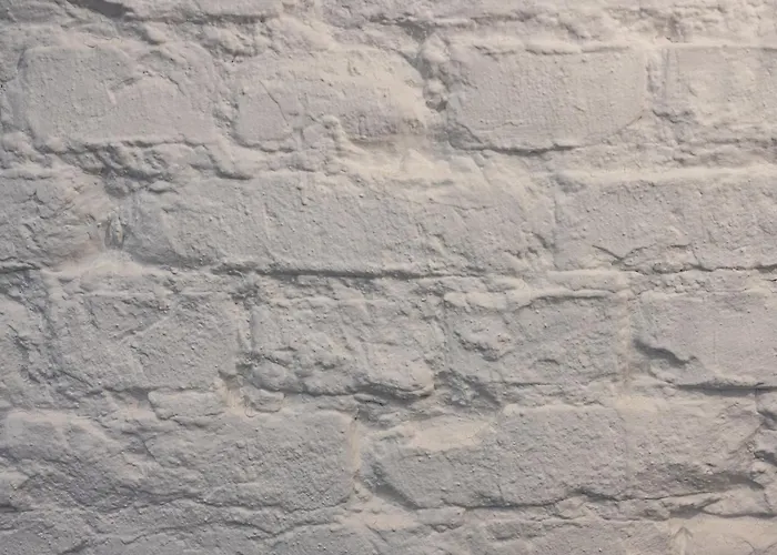 Spacious Lofts In Wedding *